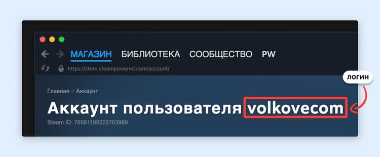 Steam account info